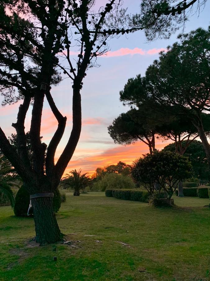 L' Appart Du Golf Saint-Cyprien  Exterior photo